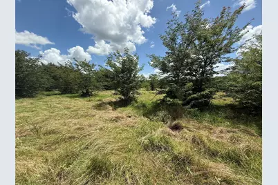 0 Fm 2653 Ws Inside Track 4, Sulphur Springs, TX 75482 - Photo 6