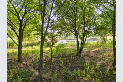 24+/- Ac. Tbd Hwy 6, Valley Mills, TX 76689 - Photo 16