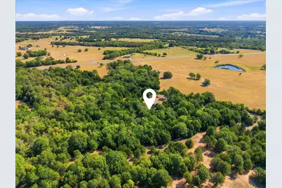 4428 Cr-3401, Lone Oak, TX 75453 - Photo 14