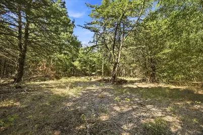 4428 Cr-3401, Lone Oak, TX 75453 - Photo 8