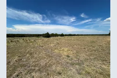 Tbd Lone Tree Street, Nevada, TX 75173 - Photo 8