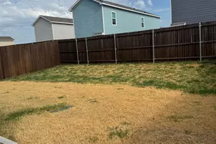 156 Boxberry Wy, Princeton, TX 75407 - Photo 30