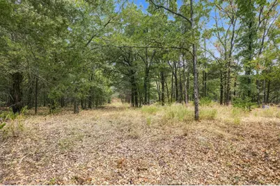 710 Rio Roxo Road, Gordonville, TX 76245 - Photo 36