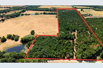 2460 County Road 1220, Savoy, TX 75479 - Photo 2