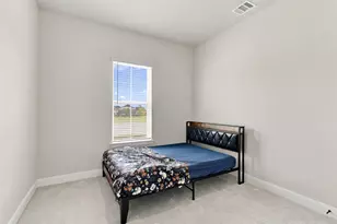 16917 Leatherflower Blvd, Justin, TX 76247 - Photo 14
