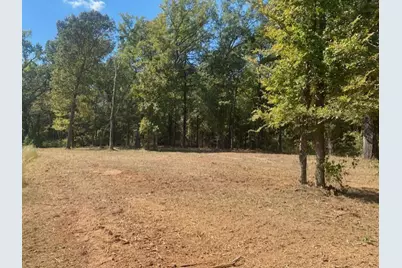 Lot 7R-1 N Private Road 52416 Road, Leesburg, TX 75451 - Photo 4