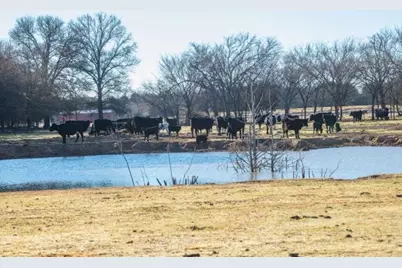 446 Fm 274, Ravenna, TX 75476 - Photo 16