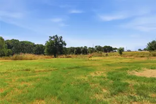 1001 Green Tree Dr, Weatherford, TX 76087 - Photo 36