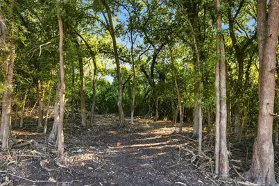 1401 Park Street, Clifton, TX 76634 - Photo 4