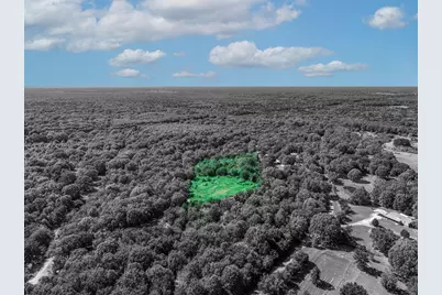 Tbd County Road 1909, Canton, TX 75117 - Photo 6