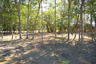 55 County Road 42351, Paris, TX 75462 - Photo 8