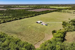 20132 Co Rd 818, Farmersville, TX 75442 - Photo 10