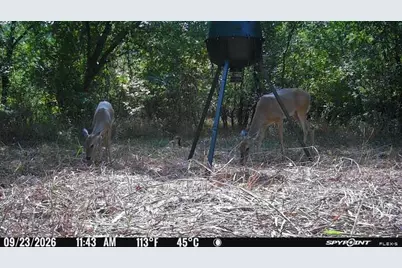 20132 County Road 818, Farmersville, TX 75442 - Photo 6