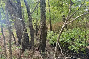20132 Co Rd 818, Farmersville, TX 75442 - Photo 4