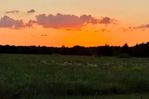 20132 Co Rd 818, Farmersville, TX 75442 - Photo 2