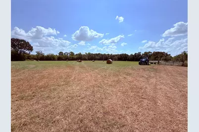 3637 County Road 2403, Winnsboro, TX 75494 - Photo 4