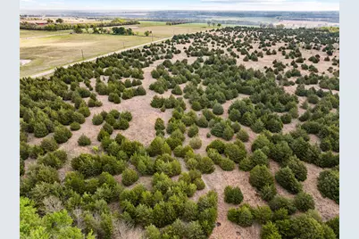 Tbd Lot 6 Fm 128, Cooper, TX 75432 - Photo 4
