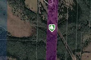 225-227 County Road 3731, Leonard, TX 75452 - Photo 1