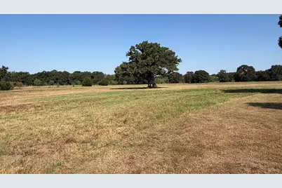 3281 Lcr 486, Mexia, TX 76667 - Photo 8