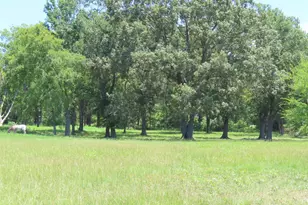 2099 Co Rd 3420, Leesburg, TX 75451 - Photo 12
