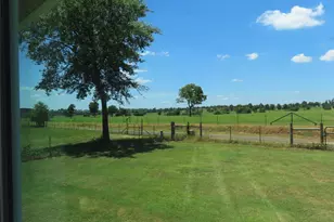 2099 Co Rd 3420, Leesburg, TX 75451 - Photo 6