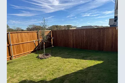 3116 Burmese Street, Providence Village, TX 76227 - Photo 32