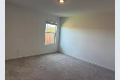 3116 Burmese Street, Providence Village, TX 76227 - Photo 20