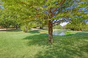 1333 Salt Branch Rd, Little Elm, TX 75068 - Photo 8