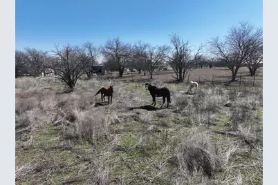 8824 Clearview Drive, Joshua, TX 76058 - Photo 12
