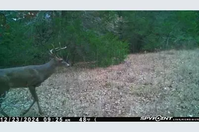 154 Lcr 410 154 Lcr 410, Groesbeck, TX 76642 - Photo 6