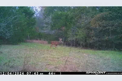 154 Lcr 410 154 Lcr 410, Groesbeck, TX 76642 - Photo 8