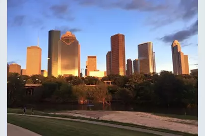 3311 Bremond Street, Houston, TX 77004 - Photo 2