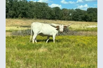 0 County Road 1790, Sunset, TX 76270 - Photo 1