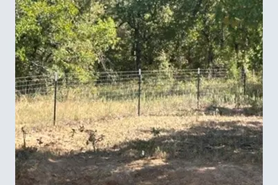 0 County Road 1790, Sunset, TX 76270 - Photo 6