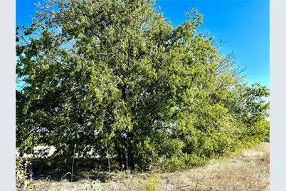 Lot 10 County Road 590, Nevada, TX 75173 - Photo 2