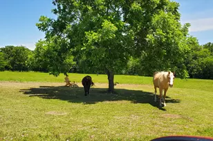 7263 State Hwy 276, Point, TX 75472 - Photo 26