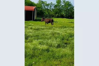 7263 State Highway 276, Point, TX 75472 - Photo 28