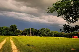 7263 State Hwy 276, Point, TX 75472 - Photo 30