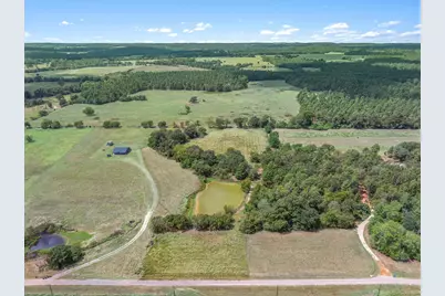 24619 Private Road 8102, Frankston, TX 75763 - Photo 2