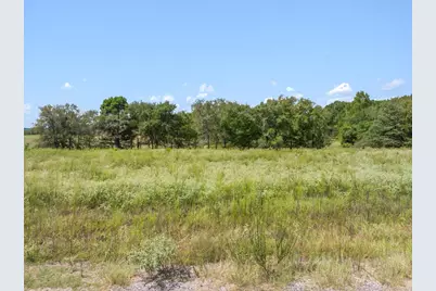 24619 Private Road 8102, Frankston, TX 75763 - Photo 4