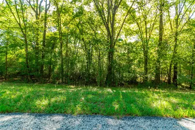 Tbd Fm 2064 N, Troup, TX 75789 - Photo 1