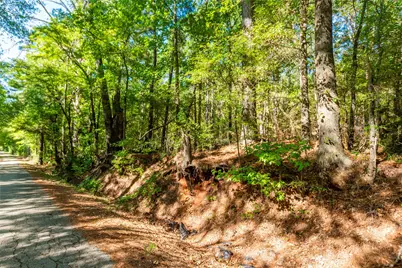 Tbd Fm 2064 N, Troup, TX 75789 - Photo 8