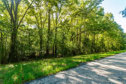 Tbd Fm 2064 N, Troup, TX 75789 - Photo 2
