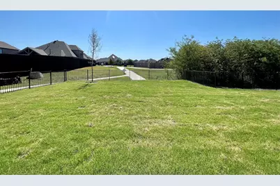 13733 Riola Drive, Little Elm, TX 75068 - Photo 30