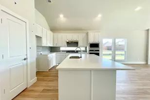 13733 Riola Dr, Little Elm, TX 75068 - Photo 14