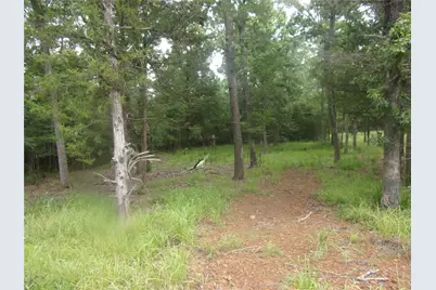 944 Whipporwill, Murchison, TX 75778 - Photo 4