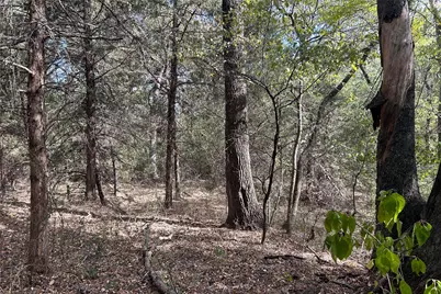 Tbd8 County Road 141, Callisburg, TX 76240 - Photo 10