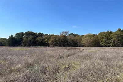 Tbd8 County Road 141, Callisburg, TX 76240 - Photo 6