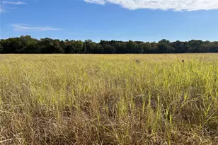 Tbd8 County Road 141, Callisburg, TX 76240 - Photo 1