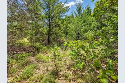 2812 County Road 805B, Keene, TX 76031 - Photo 16